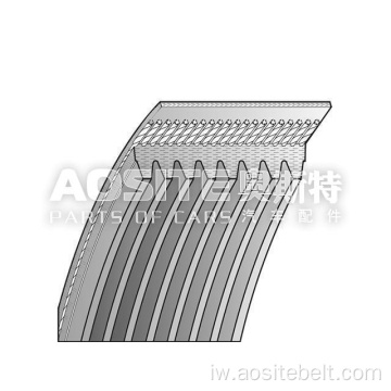 חגורת V צלעות לרכב DAF CF